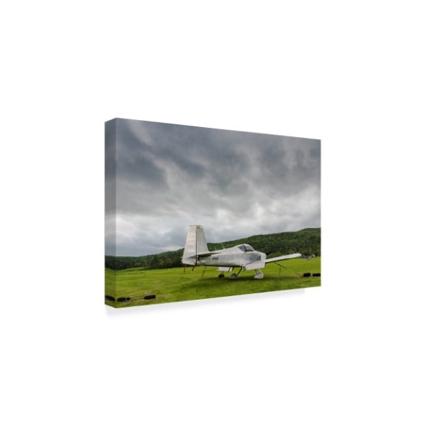 Brenda Petrella Photography Llc 'Grounded Today' Canvas Art,30x47